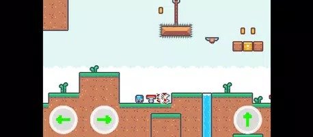 惊讶的猫猫(Cat Wow)