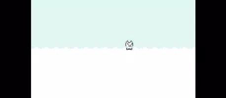 惊讶的猫猫(Cat Wow)