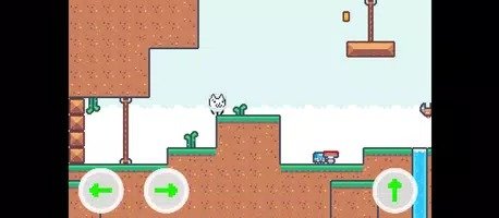 惊讶的猫猫(Cat Wow)