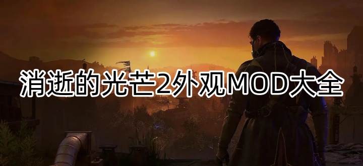 消逝的光芒2外观MOD大全