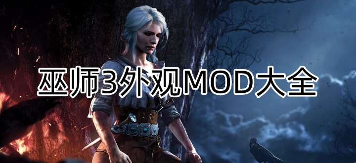 巫师3外观MOD大全