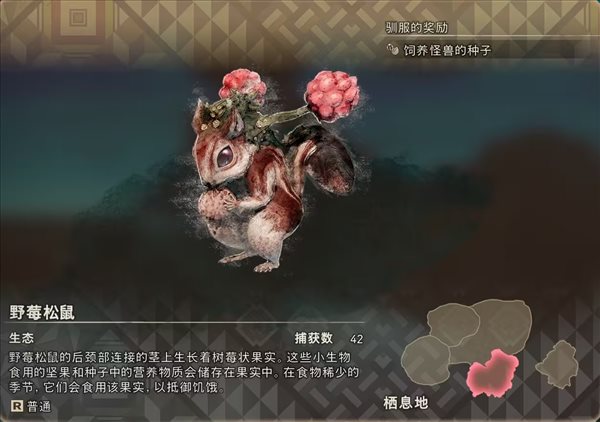 狂野之心