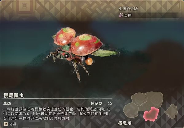 狂野之心