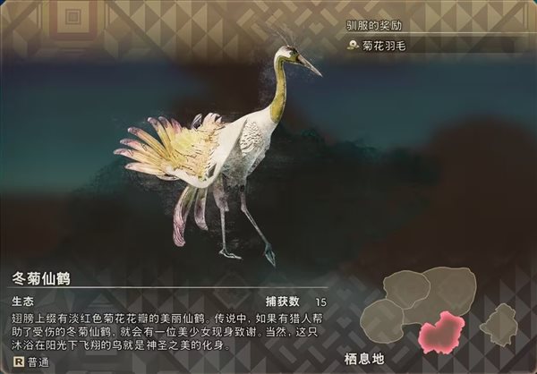 狂野之心