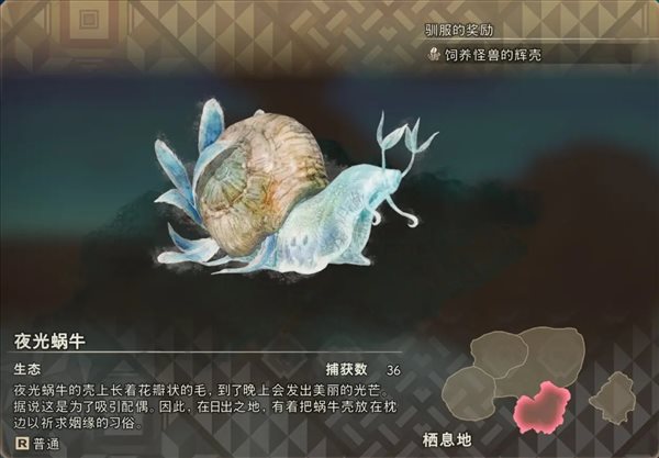 狂野之心