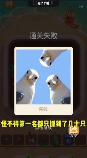 撿了個啥