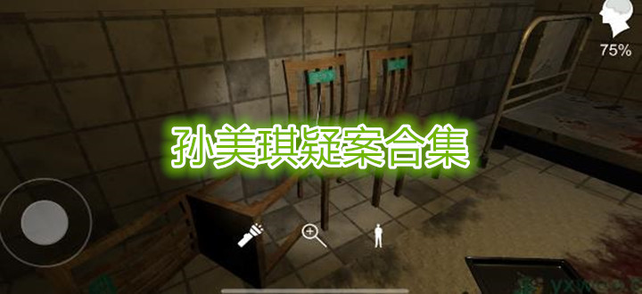 孙美琪疑案合集