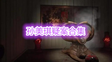 孙美琪疑案合集
