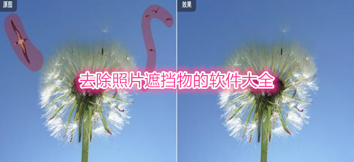 去除照片遮挡物的软件大全