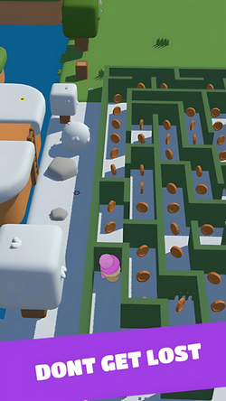 迷宫奔跑者(Maze SpeedRunner)