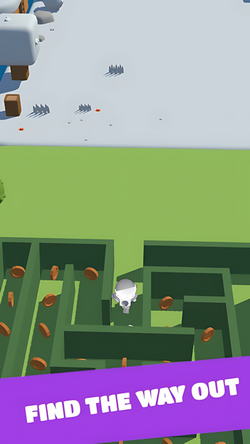 迷宫奔跑者(Maze SpeedRunner)