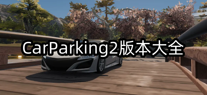 carparking2版本大全