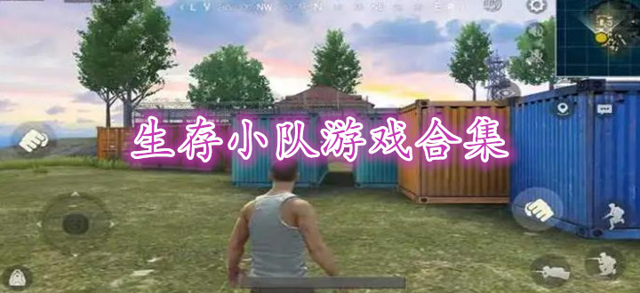 生存小队游戏合集