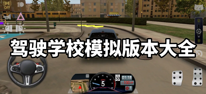 驾驶学校模拟版本大全