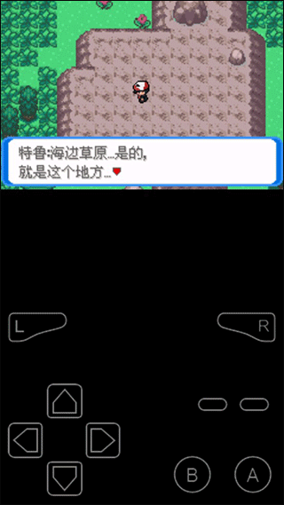口袋妖怪決心