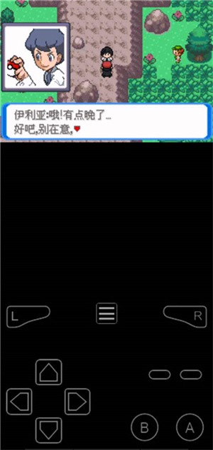 口袋妖怪決心