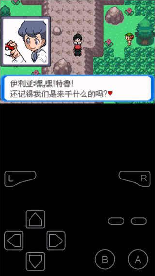口袋妖怪決心