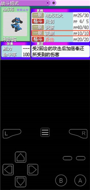 口袋妖怪決心