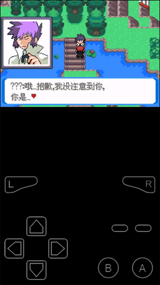 口袋妖怪決心