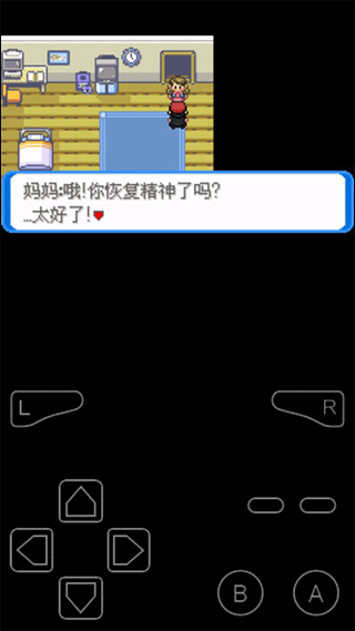 口袋妖怪決心