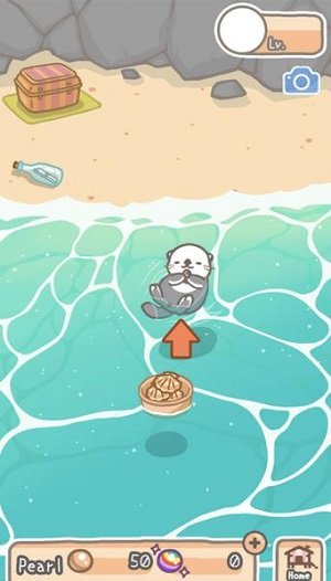 海獭浴场(Rakko Ukabe)