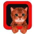 https://i-1-333ttt.upimgt.com/2025/10/1/c614c1d7-96d3-4877-a510-9d6e1a43f0d1.png