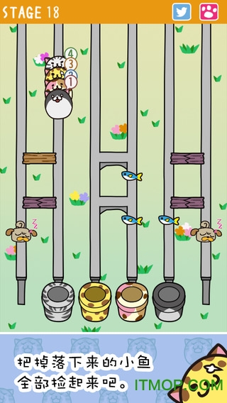 猫过马路(Crossy Cats)