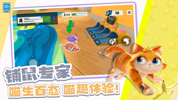 瞌睡猫玩乐时间