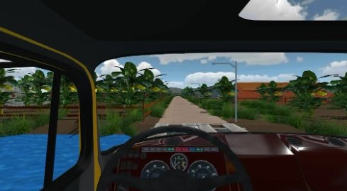巴西卡车2