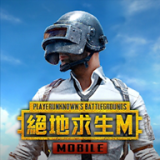 pubg国际服官方正版