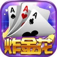 金花游戏单机版