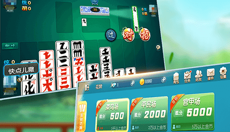 圣盛宜昌花牌安卓版