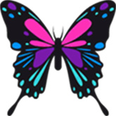 https://i-1-333ttt.upimgt.com/2025/8/5/3d4b2259-69ad-4a61-a5da-872c36efe3b8.jpg