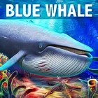 蓝鲸模拟器深海冒险(Blue Whale Simulator)