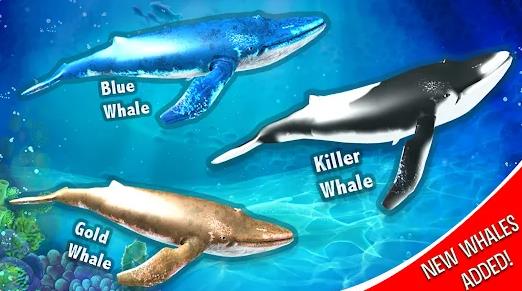 蓝鲸模拟器深海冒险(Blue Whale Simulator)