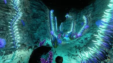 《深海迷航》更多子生物群落MOD