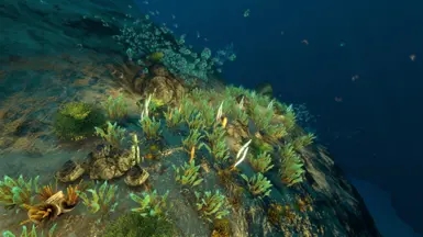 《深海迷航》更多子生物群落MOD