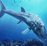 鱼龙模拟器(Leedsichthys Simulator)