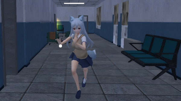 完美的女友