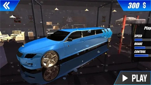 豪车停车模拟(Luxe Limo Lot)